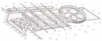 ���� ��� ������� �� �����