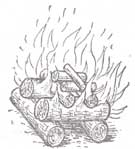 ������ ���� ���������