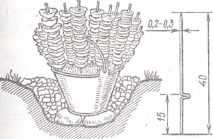 �������������� ��� ����� ������