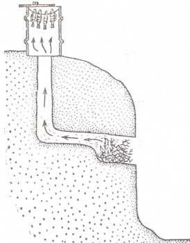 �������� ������ ���� ��� ��������